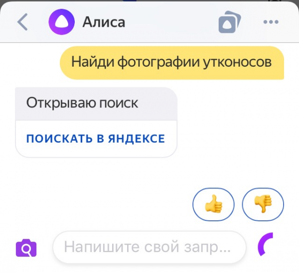 Алиса ищет в Яндексе